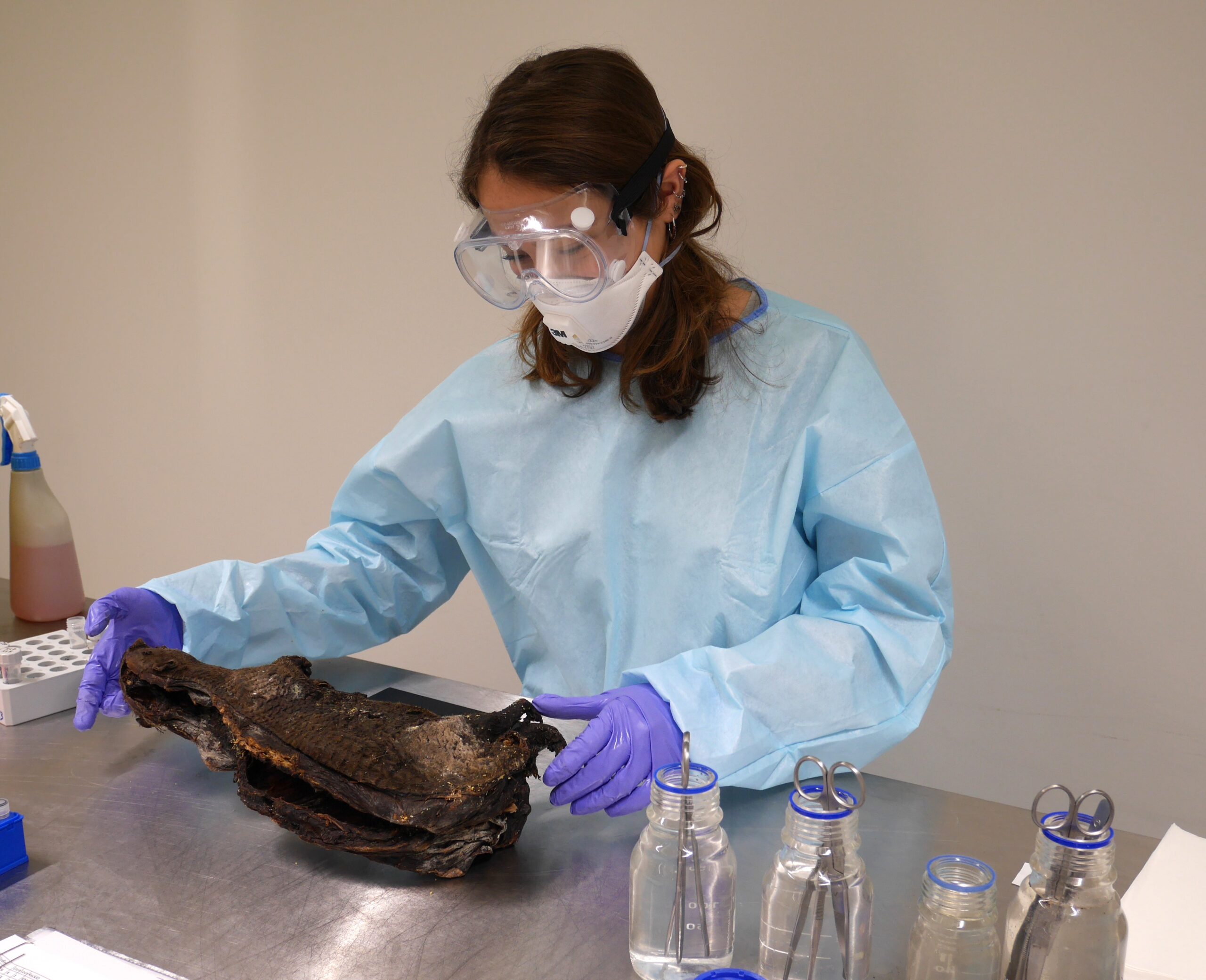 Sampling of meat ceased during BaCon action at Brussels Airport