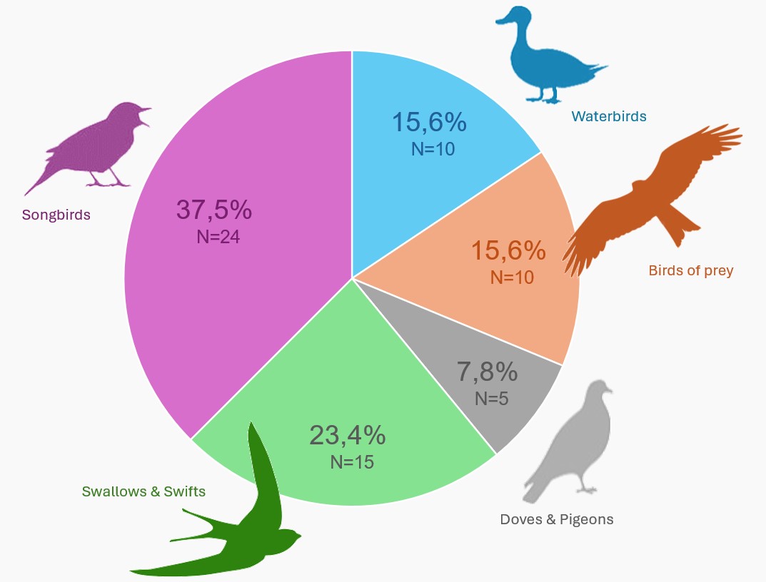 Birdstrike summary chart - background